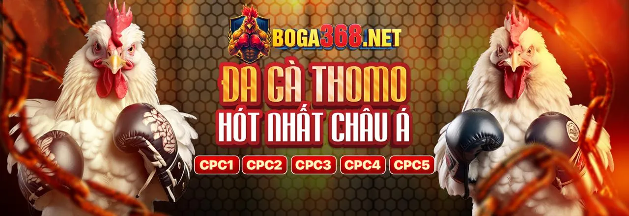 Hoàn Trả Cược Thua